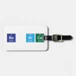 Be Nice  Luggage Tags