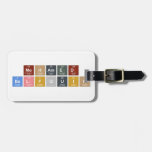MOHAMED
 BELFQUIH  Luggage Tags