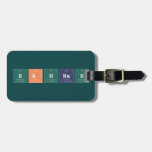 Hannah  Luggage Tags