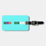 Elif ERGÜL   Luggage Tags