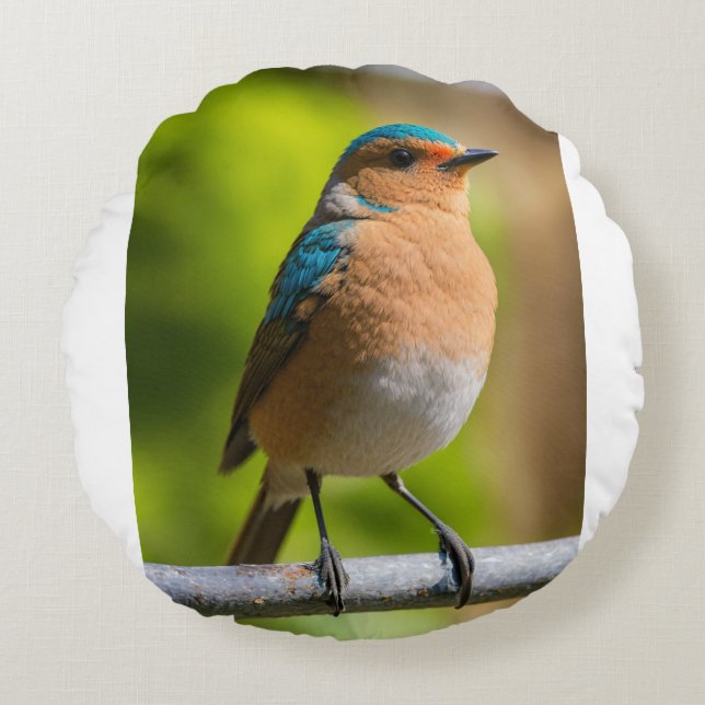 Luh Fit Bird Round Pillow (Front)