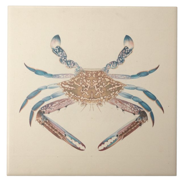 Luigi Balugani - Portunua Pelagicus - Blue Crab Ceramic Tile (Front)