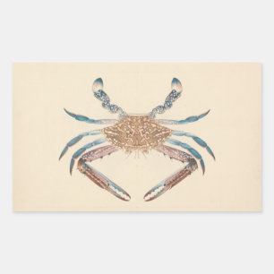 Luigi Balugani - Portunua Pelagicus - Blue Crab Rectangular Sticker