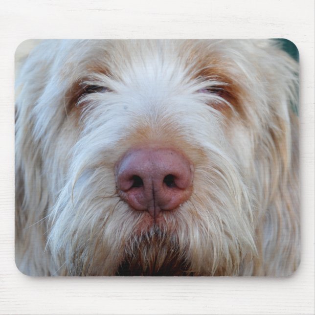 Luigi's Booper Mousepad (Front)