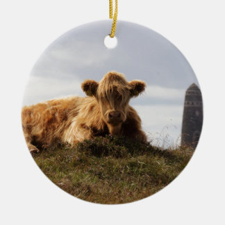 Luing cow on the Isle of Islay, Scotland Ceramic Ornament