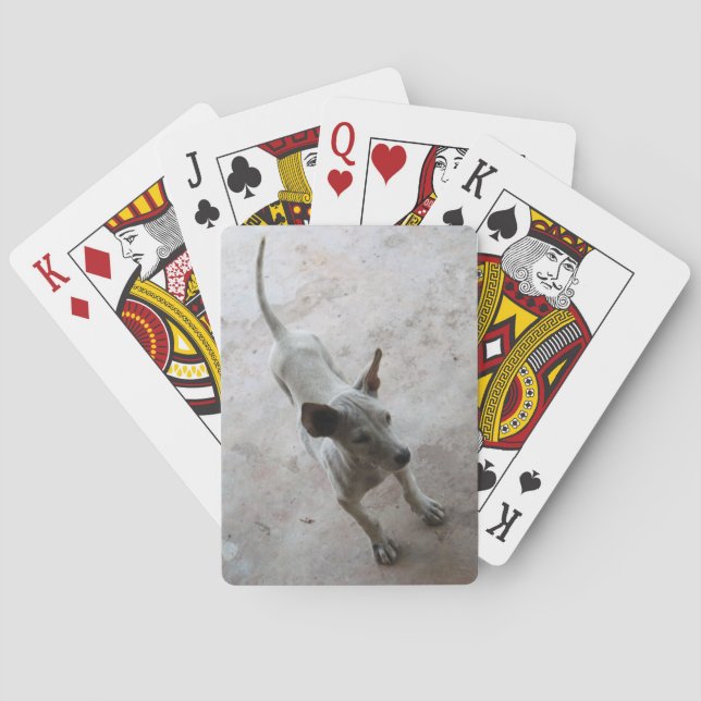 Luk Maa ... Thai Soi Puppy Dog Poker Cards (Back)