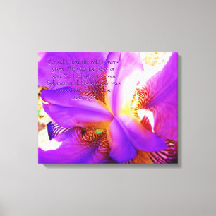 Luke 12:27 on Purple Iris Canvas Print