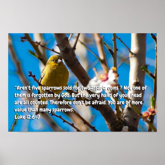 Luke 12:6-7 poster (Front)