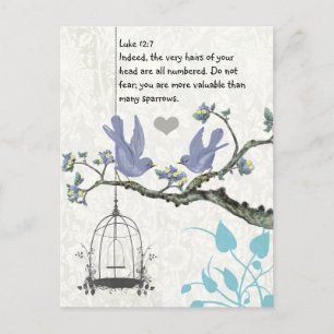 Luke 12:7 you are more valuable than many sparrows postcard