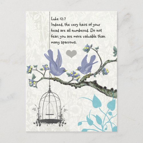 Luke 127 you are more valuable than many sparrows postcard