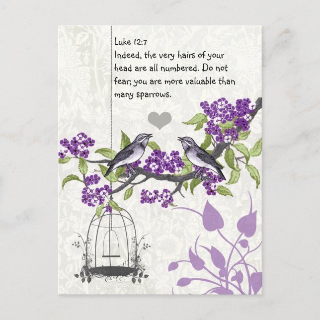 Luke 12:7 you are more valuable than many sparrows postcard (Front)