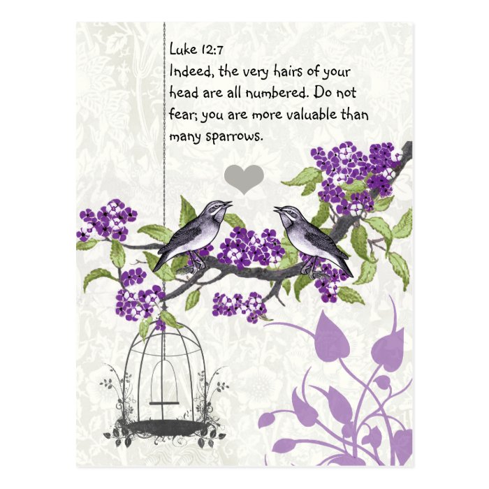 Luke 127 you are more valuable than many sparrows postcard