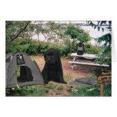 Luke week 6 (Front Horizontal)