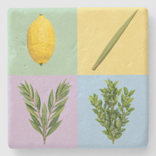 Lulav 4 species pop-art stone coaster