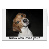 LuLu Belle (Front Horizontal)