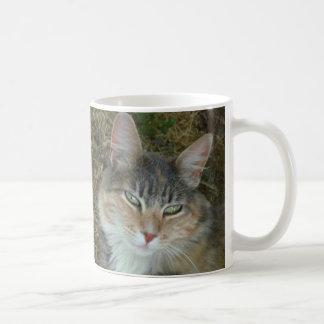Lulu - dozing at Noon Coffee Mug