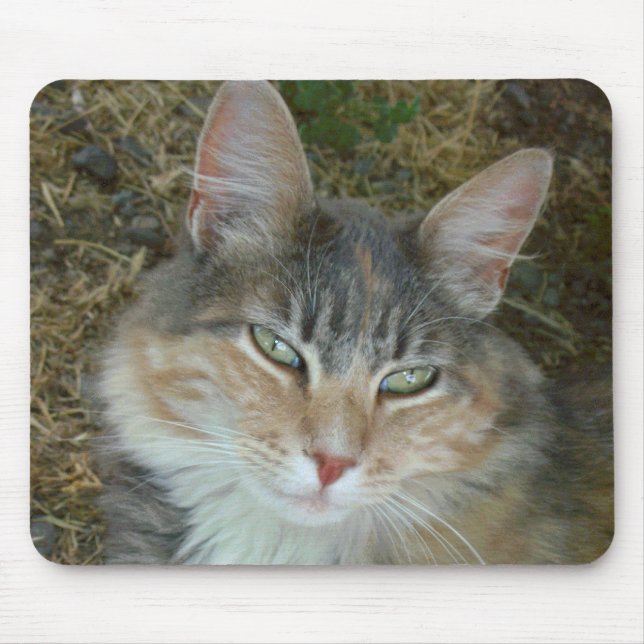 Lulu - dozing at Noon Mouse Pad (Front)