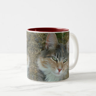 Lulu - dozing at Noon Two-Tone Coffee Mug