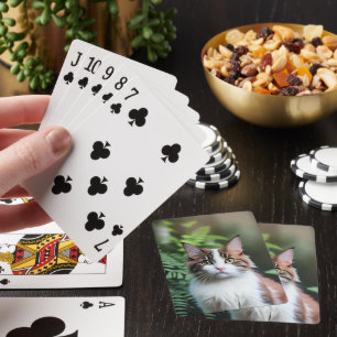 Lulu The Ragdoll Cat, Deck Of Playing Cards