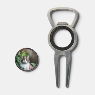 Lulu The Ragdoll Cat, Golf Divot Tool