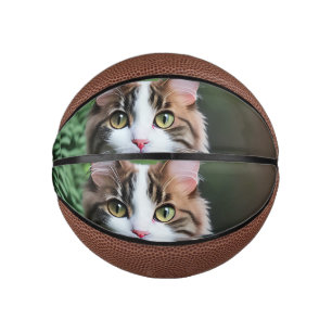 Lulu The Ragdoll Cat, Kids Basketball