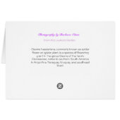 Lulu's Garden Cards (Back Horizontal)