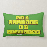  NXN!! VOETSEK   I'M STUDYING  (Lumbaal) kussen