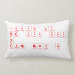 JAANTA HU BHT PYAR KARTI  HO  APNE BABU SE   (Lumbaal) kussen