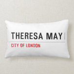 THERESA MAY  (Lumbaal) kussen