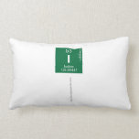 i   (Lumbaal) kussen