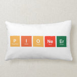 pioneer  (Lumbaal) kussen