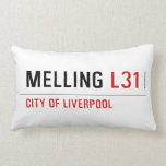 Melling  (Lumbaal) kussen