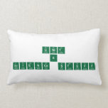 Unit 6 Science Stuff  (Lumbaal) kussen