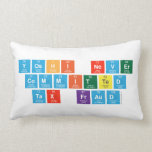 Yoshi never committed tax fraud  (Lumbaal) kussen