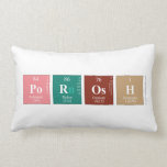 Porosh  (Lumbaal) kussen