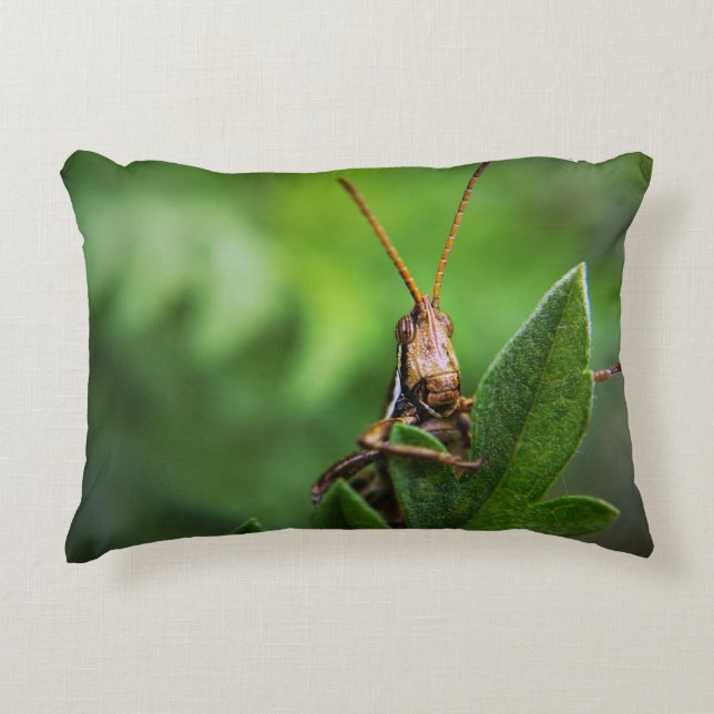 Lumbar Pillow 13" x 21" (Front)