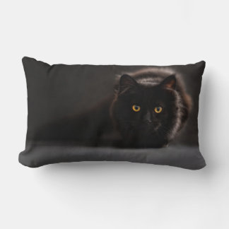 Lumbar Pillow 13" x 21"