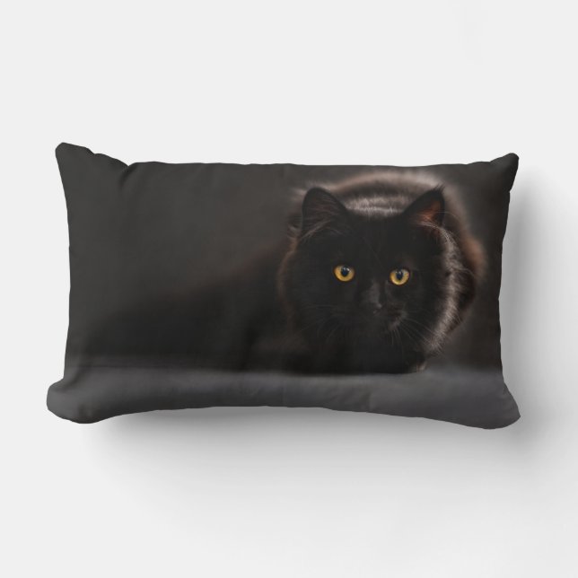 Lumbar Pillow 13" x 21" (Front)