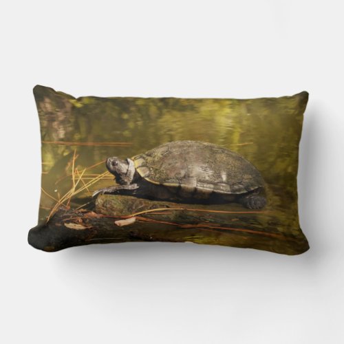 Lumbar Pillow _ Turtle on Log in Pond