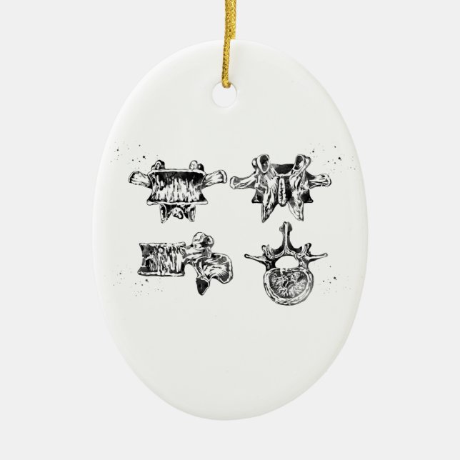 Lumbar spine structure ceramic ornament (Front)