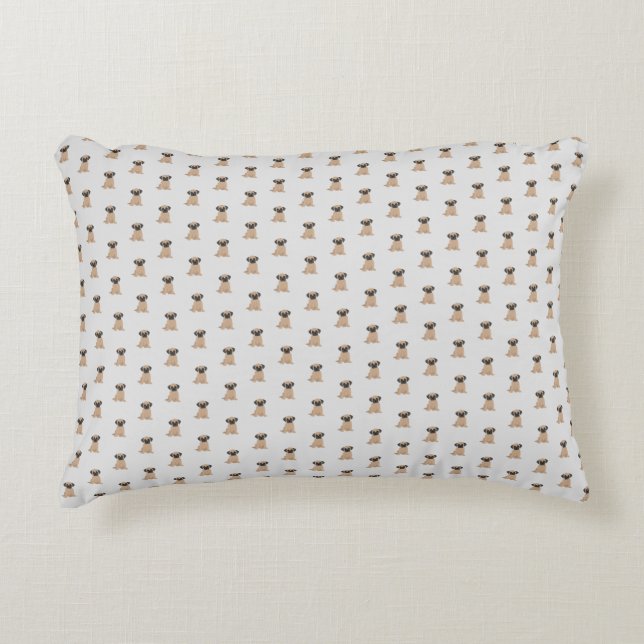 Lumbar throw  accent pillow (Front)