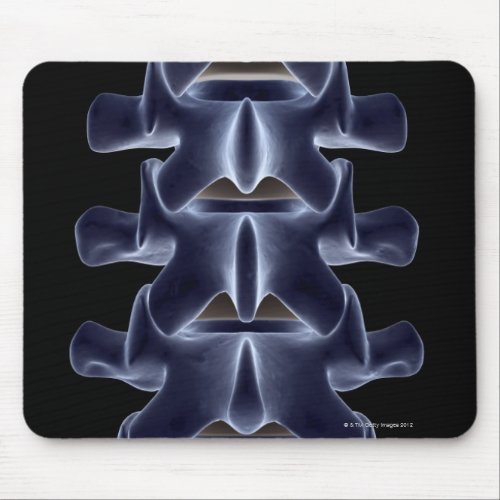 Lumbar Vertebra 2 Mouse Pad