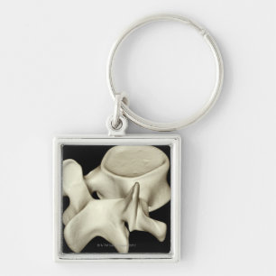 Lumbar Vertebra 4 Keychain