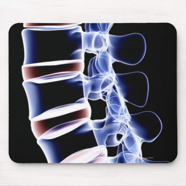 Lumbar Vertebrae 2 Mouse Pad (Front)