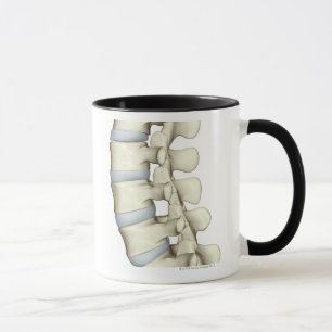 Lumbar Vertebrae Mug