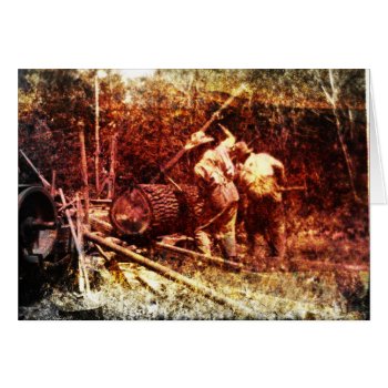 Lumber For The House by William63 at Zazzle