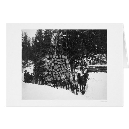 Lumber Hauling Seward Alaska 1919