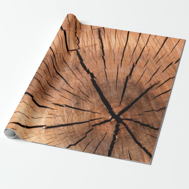 Lumber log wood tree cross section wrapping paper (Unrolled)