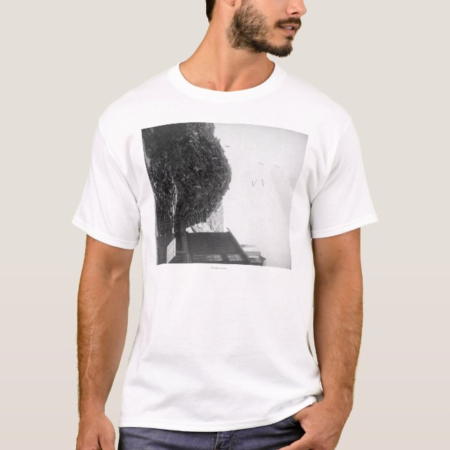 Lumber Pile outside the De Smet Mill  Photograph T-Shirt (Front)