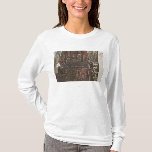 Lumberjacks Cutting Down a Redwood Tree T-Shirt (Front)